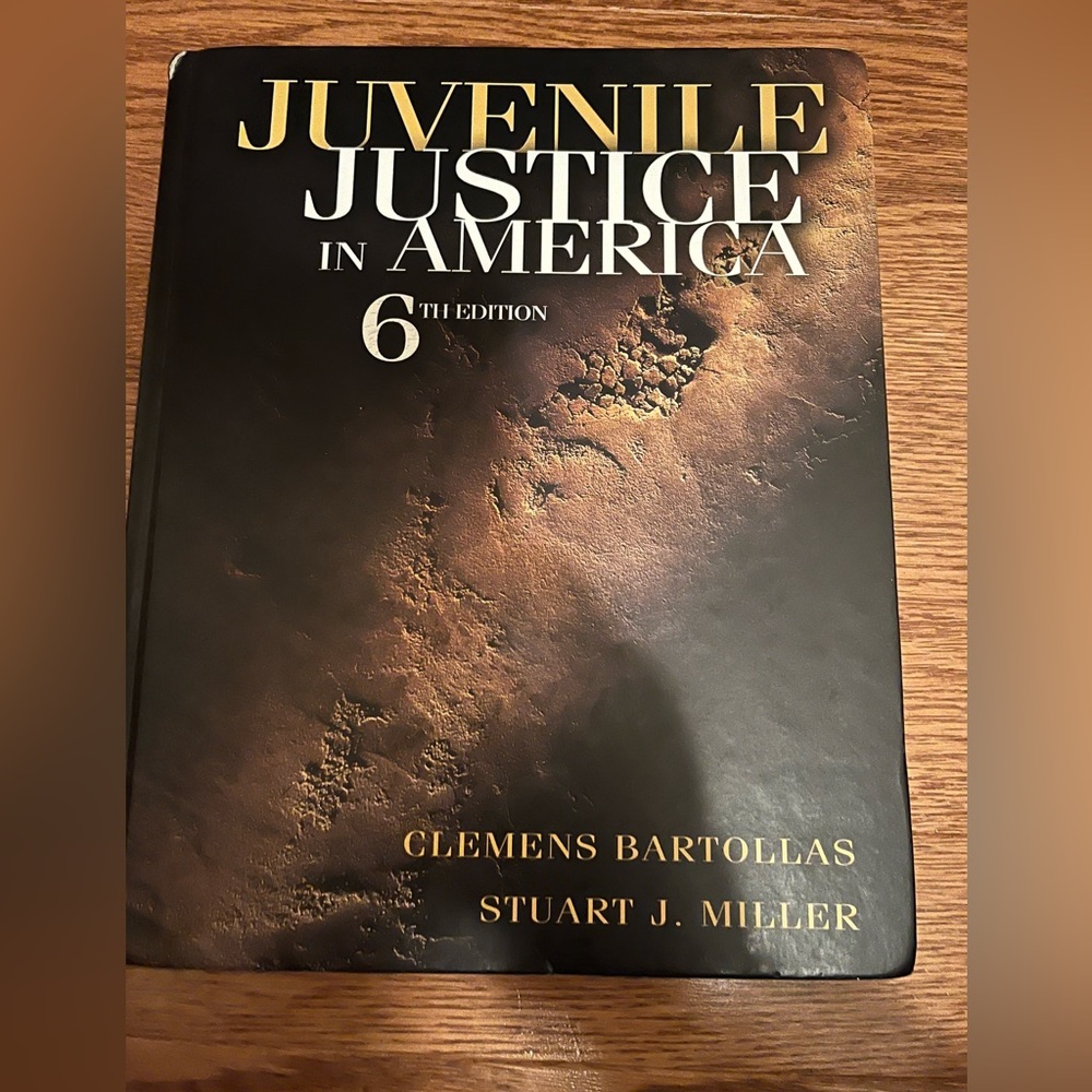 Juvenile Justice in America textbook